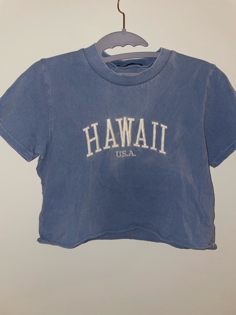 Brandy Melville Blue "Hawaii U.S.A." hawaii crop top
